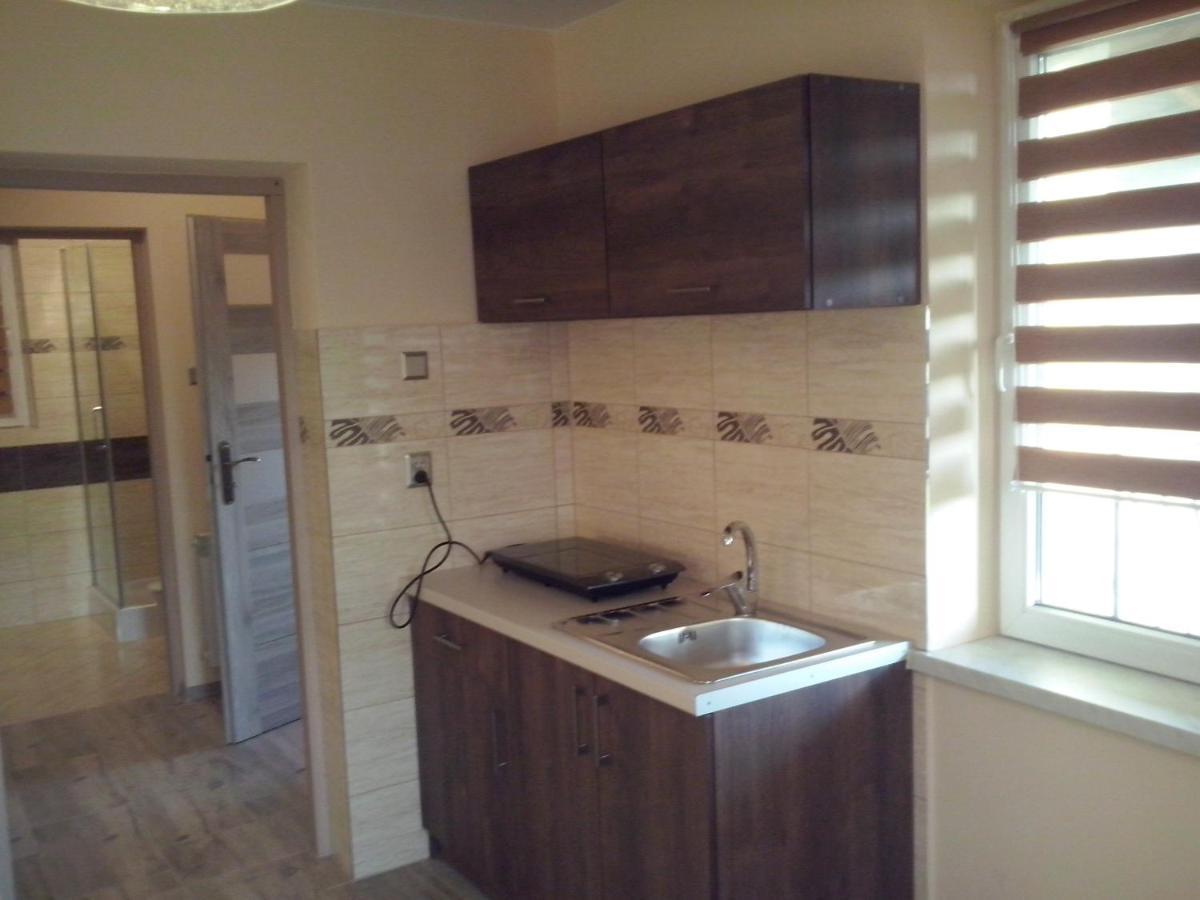 Apartament Orlik Tylicz Eksteriør billede